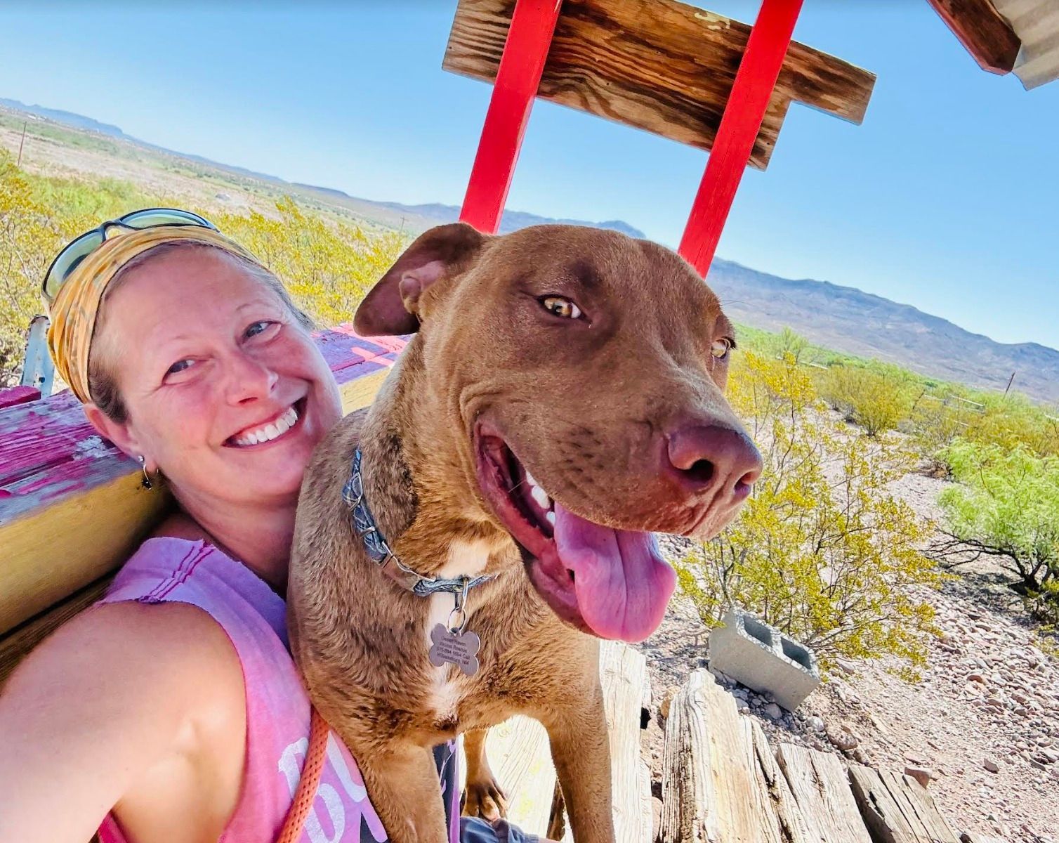 Woman smiles with brown dog, outdoors; dog’s tongue out; sunny, mountainous background.