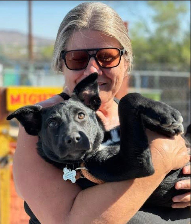 Woman holding a black dog, outdoors, wearing sunglasses. Dog is playful, looking at the camera.