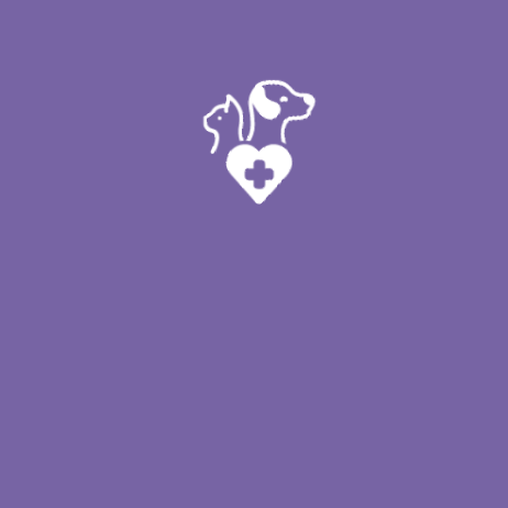 White outline of a cat, dog, and medical cross inside a heart on a purple background.