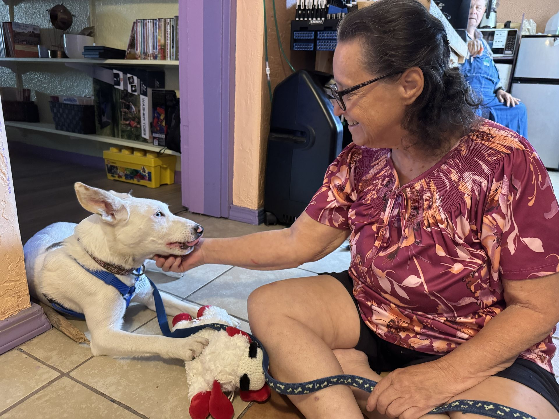 Woman seated on the floor petting a light-colored dog wearing a harness indoors