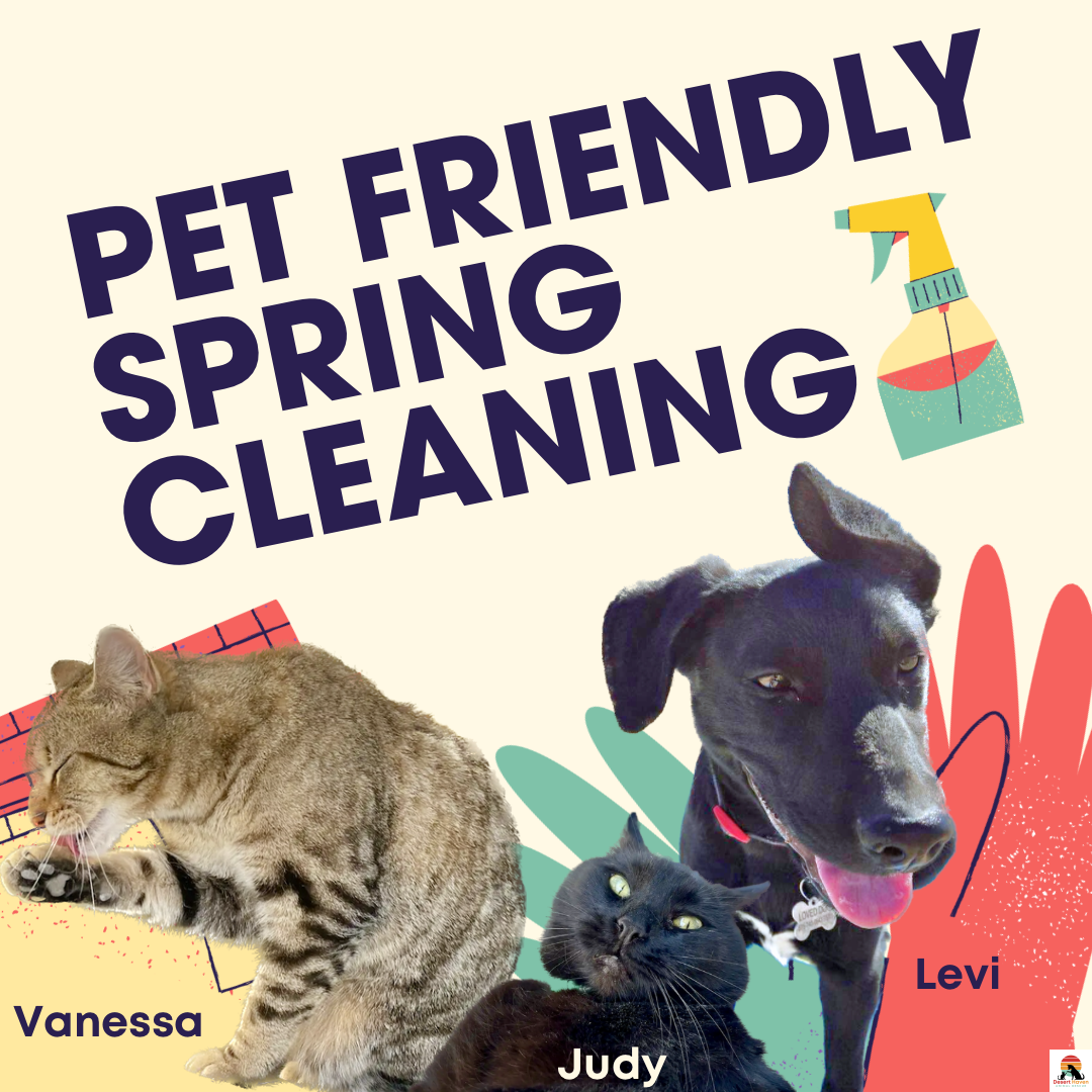 Pet Friendly Spring Cleaning. Cat Vanessa, cat Judy, and dog Levi with cleaning supplies.