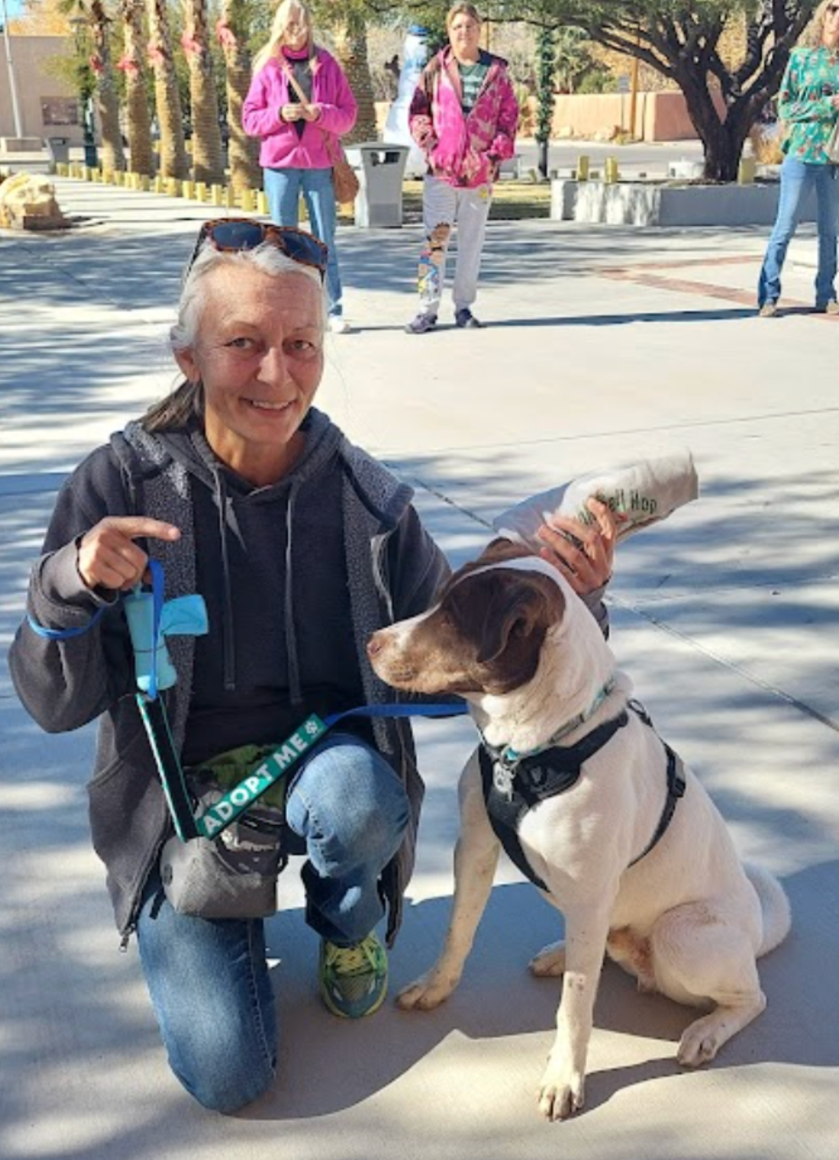 Woman kneels next to a dog wearing a harness. Woman points, smiling. Background: people, building.