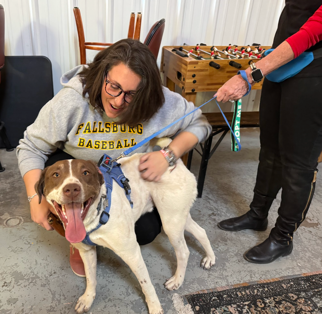 Woman petting a happy brown and white dog wearing a blue harness. Another person holds the leash.