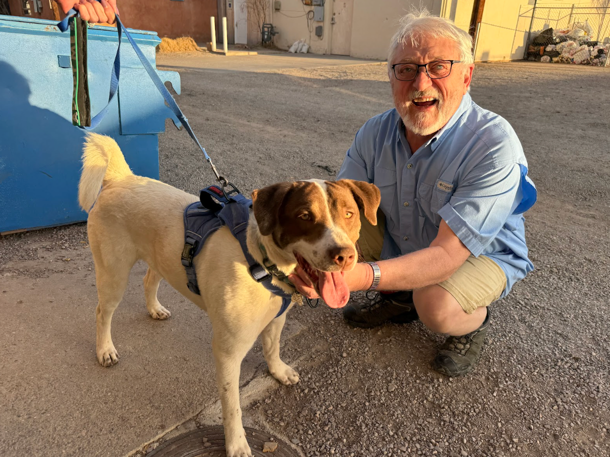 Man kneels next to a dog on a leash. The dog has brown and white fur, tongue out. They are outside.