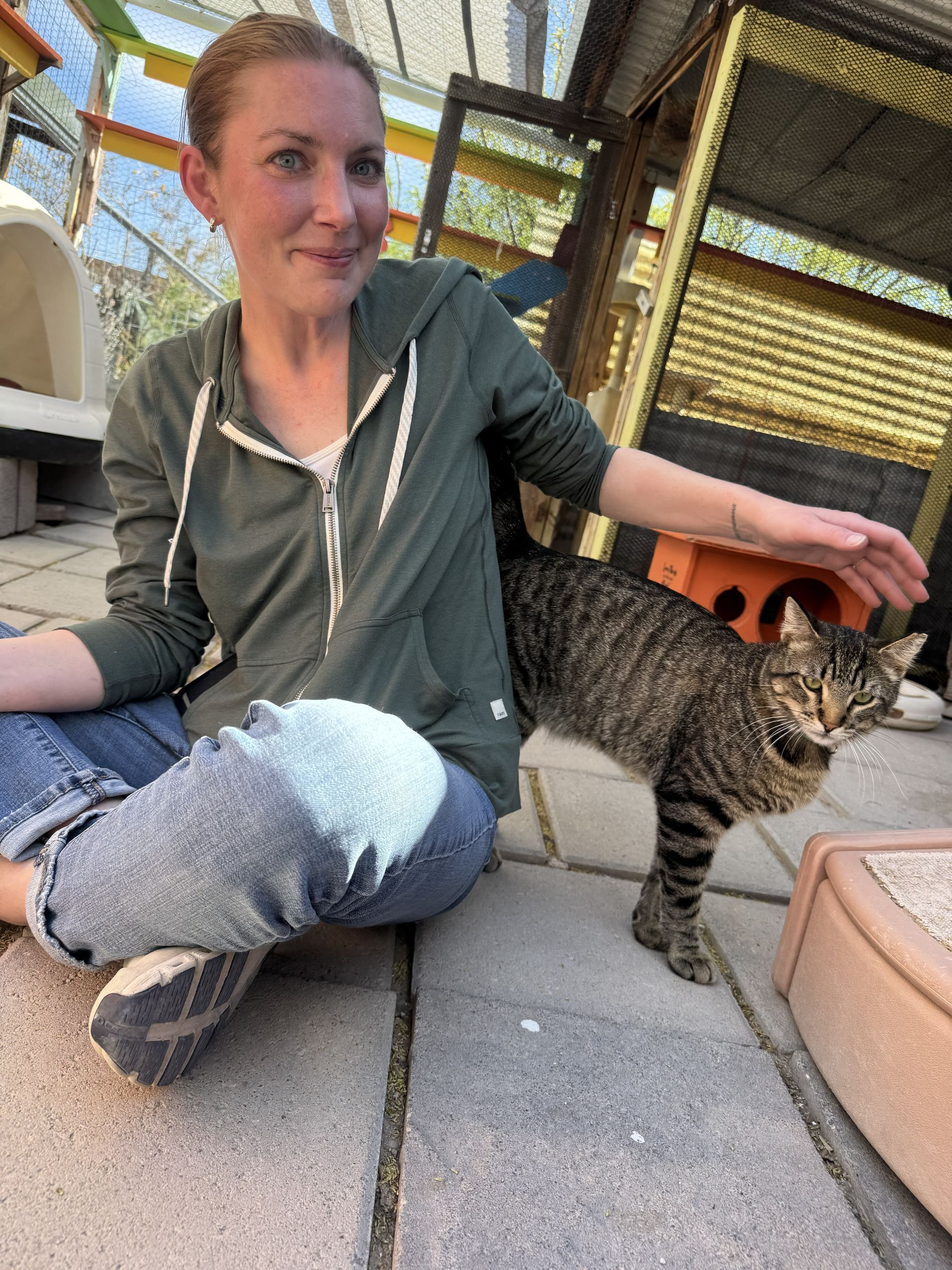 Woman sitting on a patio petting a tabby cat beside her in the sun.