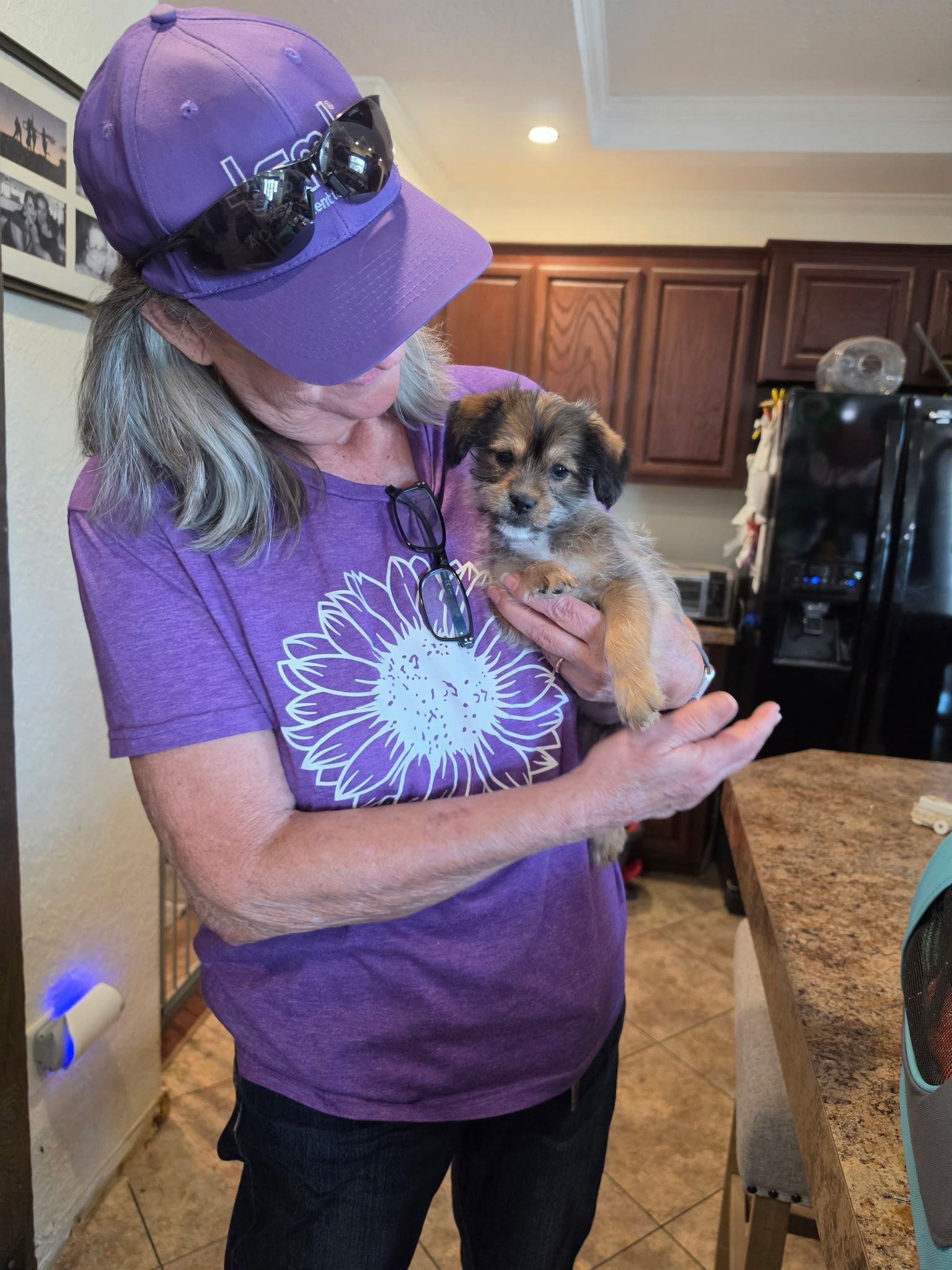 Person in a purple shirt and cap holding a small dog in a kitchen