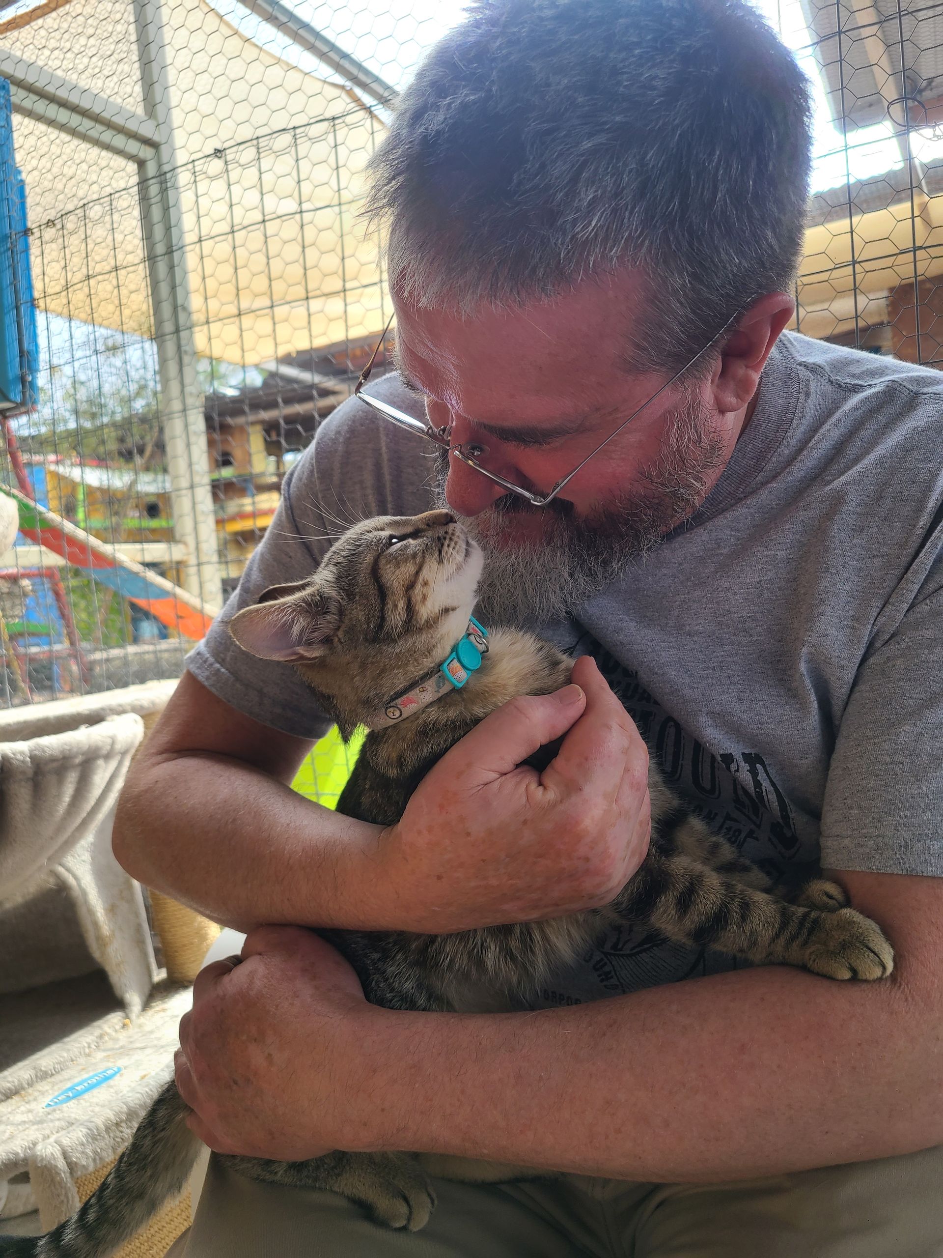 Man holding a small tabby cat close to his face in a sunlit outdoor enclosure