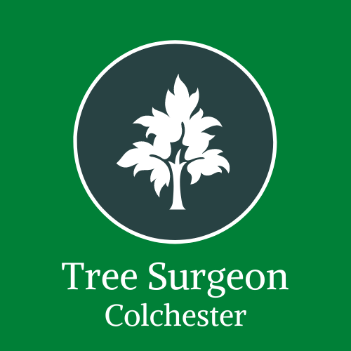 Tree Surgeon Colchester logo