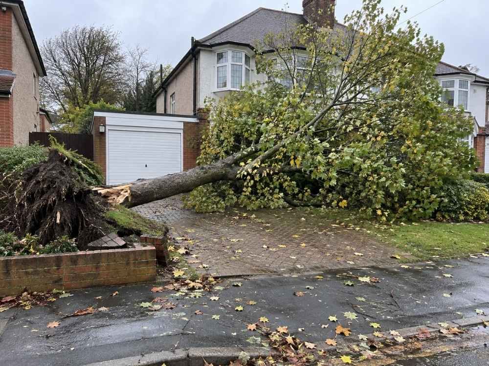 Mature tree fallen across a block-paved driveway in front of a semi-detached house after a storm