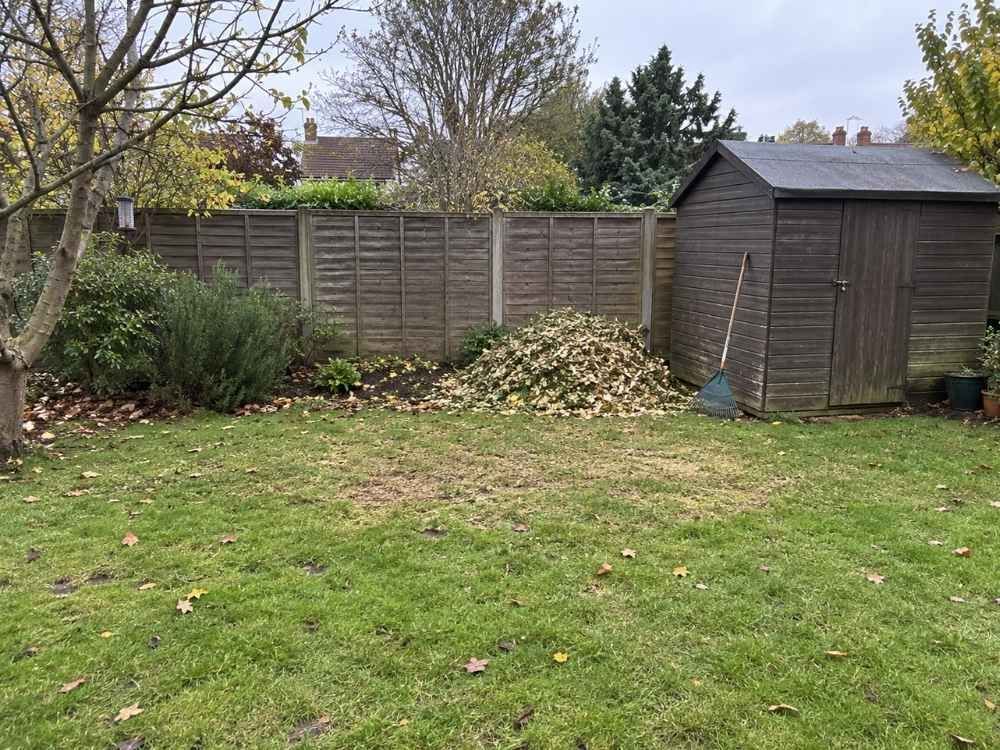 Back garden lawn cleared after chipping, with a neat heap of fresh wood chips by the fence