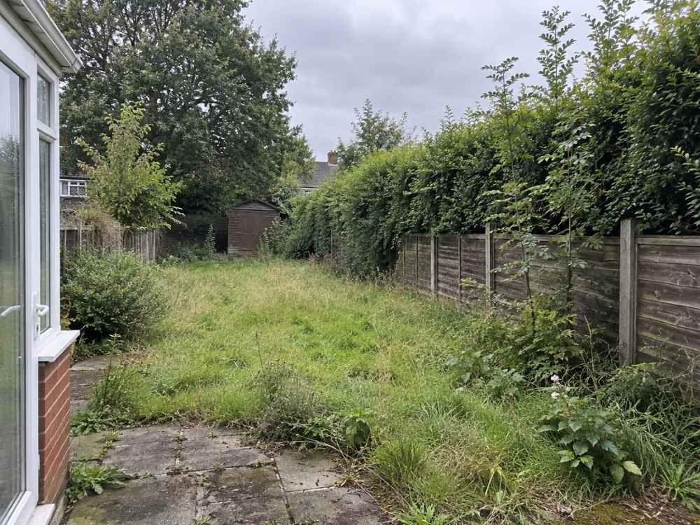 Overgrown back garden of a rented house with an unkempt hedge and self-seeded saplings