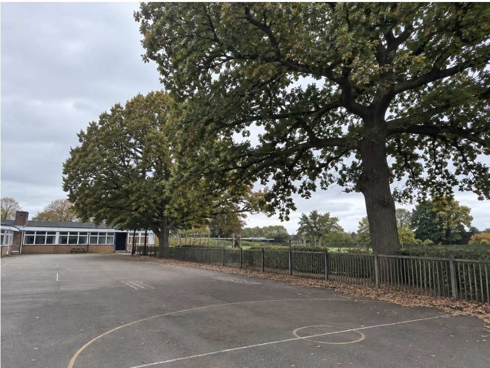 Mature trees beside an empty school playground and tarmac play area