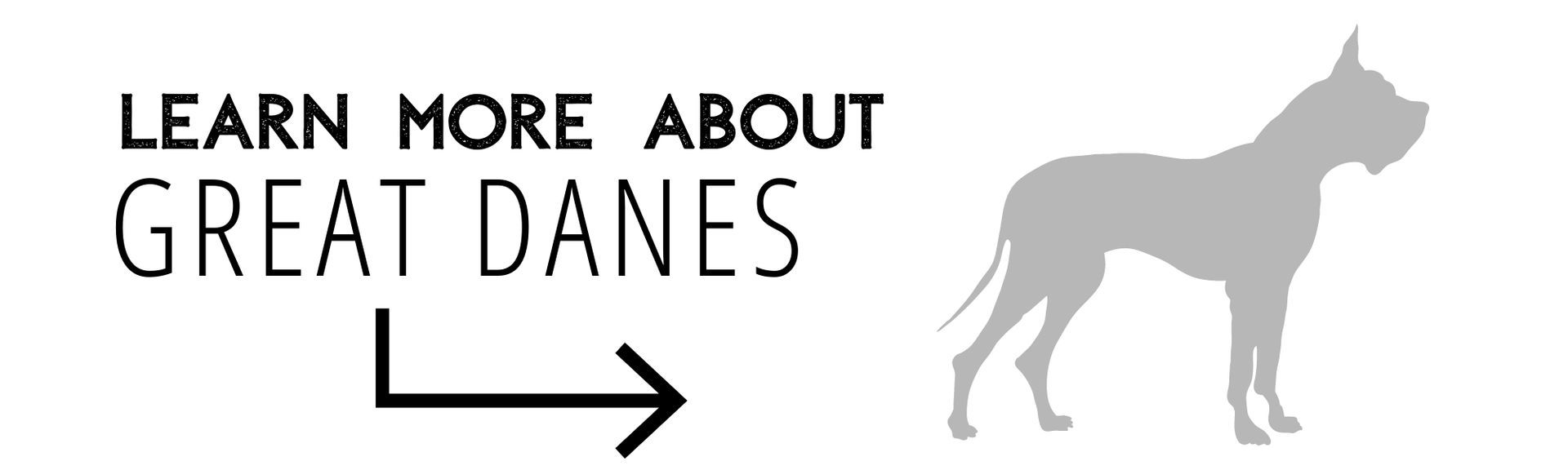 Learn more about Great Danes with a right-pointing arrow and gray dog silhouette.