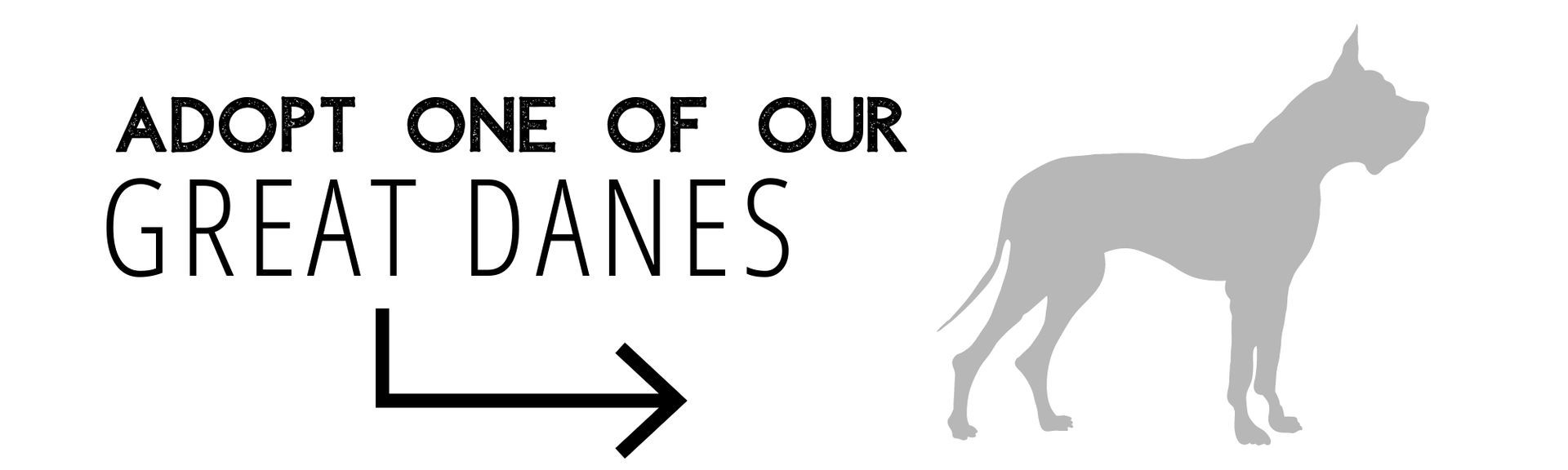 Adopt one of our Great Danes with arrow pointing right and gray dog silhouette