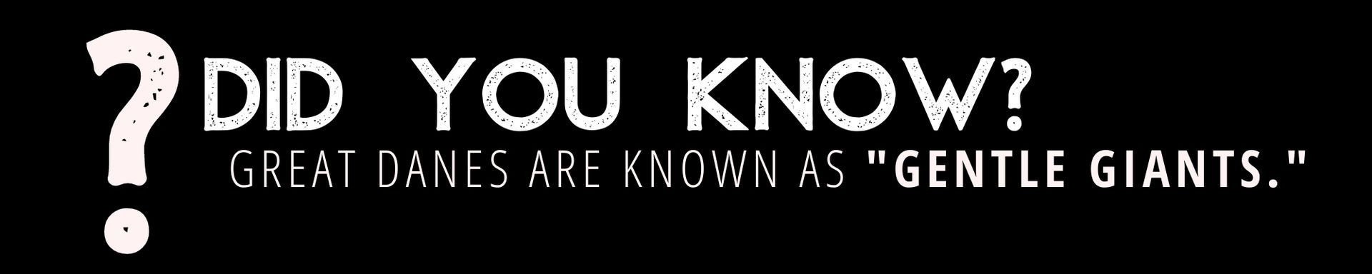 Black banner with white text: “Did you know? Great danes are known as ‘gentle giants.’”