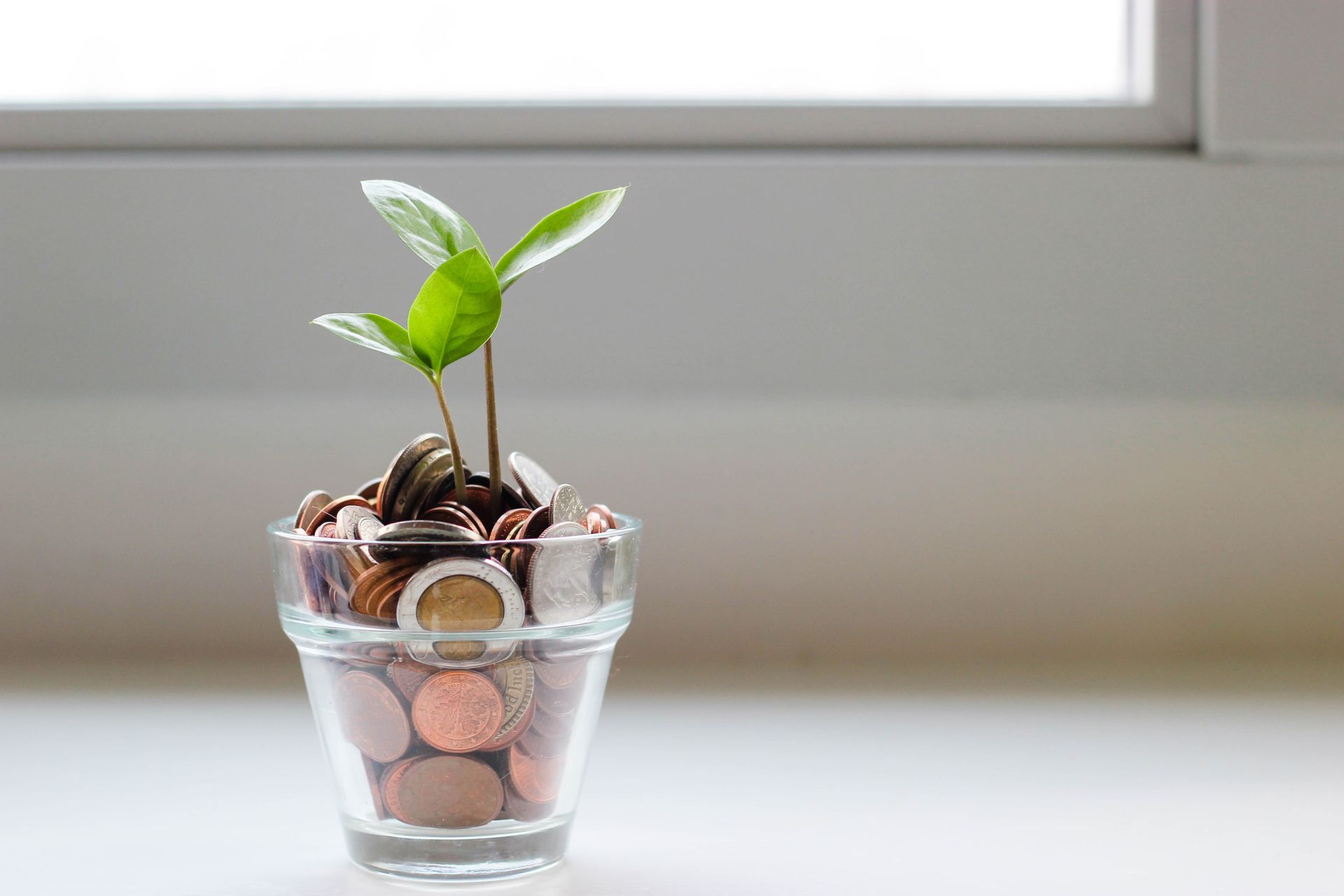 A Small Plant Is Growing Out Of A Glass Filled With Coins — One Lane Financial In Burdell, QLD 