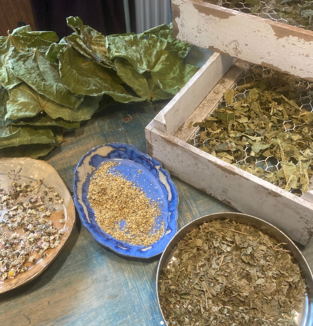 Various herbs and seeds displayed on a blue table with a wooden drying rack.
