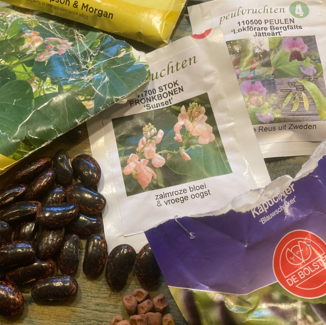 Seeds, including large, dark beans, and several seed packets on a wooden surface.