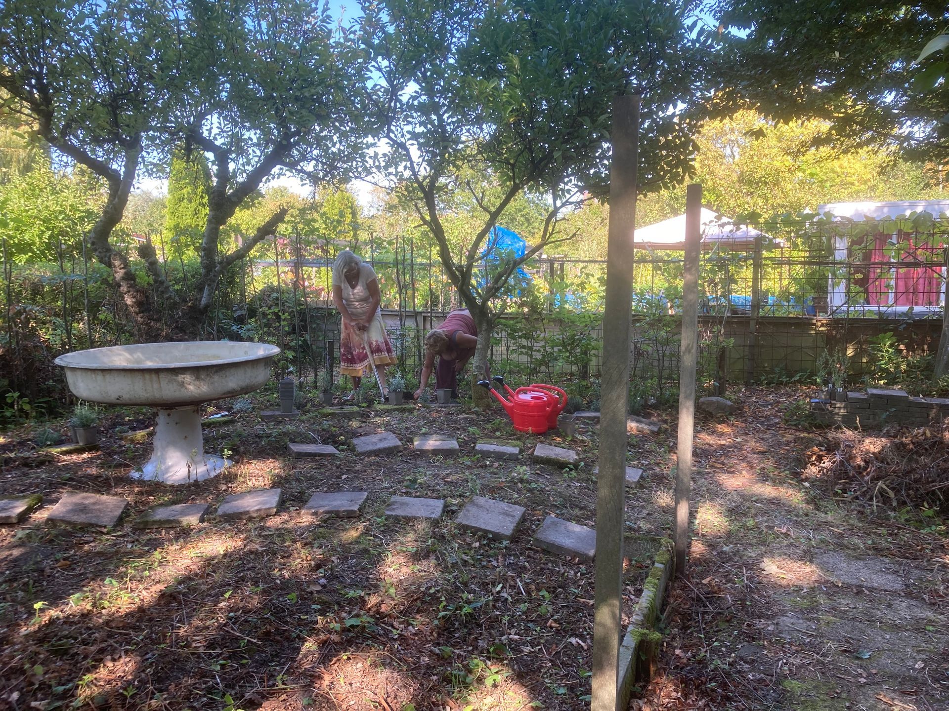 twee vrouwen aan het werk in de tuin bij plantenbak op voet en rode gieters