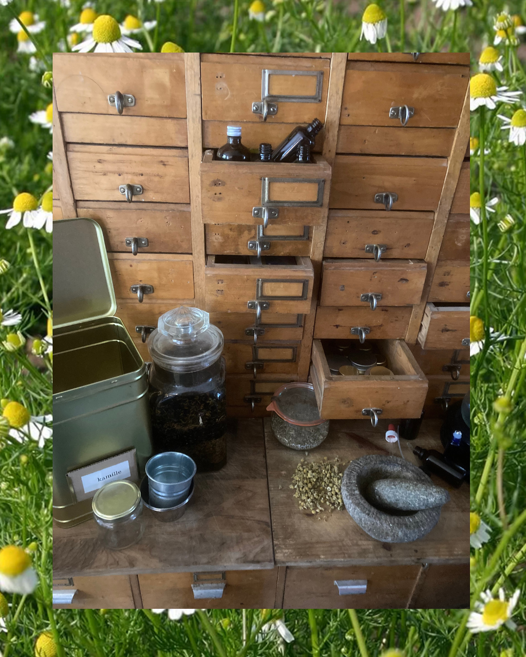 VOL 10 september Groene Huisapotheek