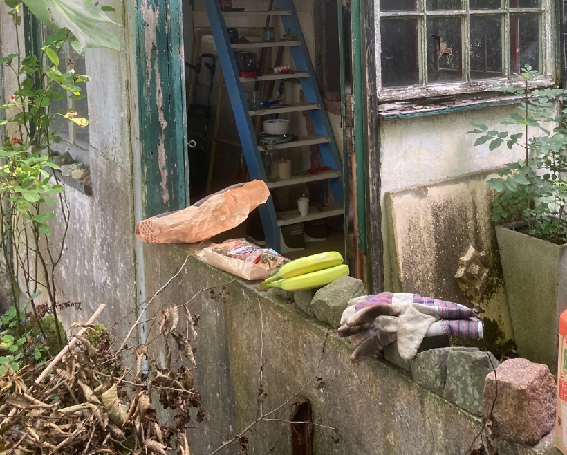 Buitenaanzicht van een verweerd gebouw met een open raam. Een baksteen, bananen en handschoenen liggen tegen de muur.