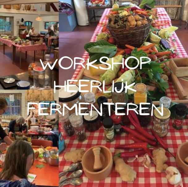 tafels met groenten en attributen voor fermentatie tijdens workshop