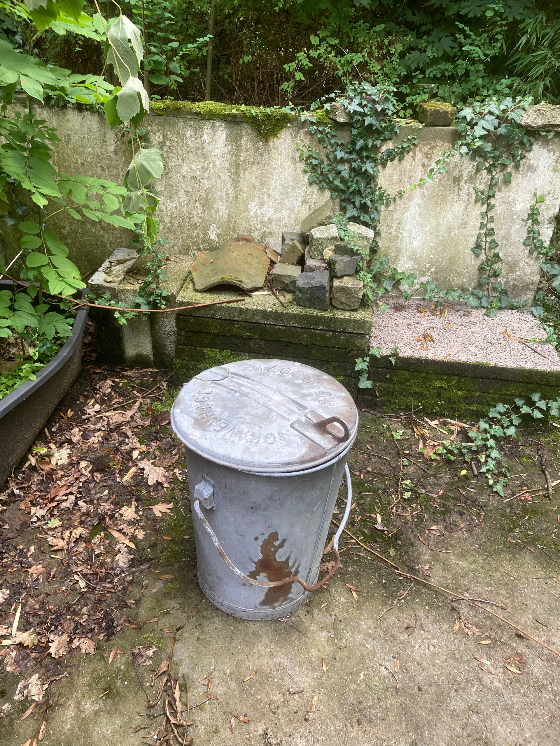 Grijze metalen vuilnisbak met deksel voor een verweerde betonnen muur, omgeven door bladeren en takken.