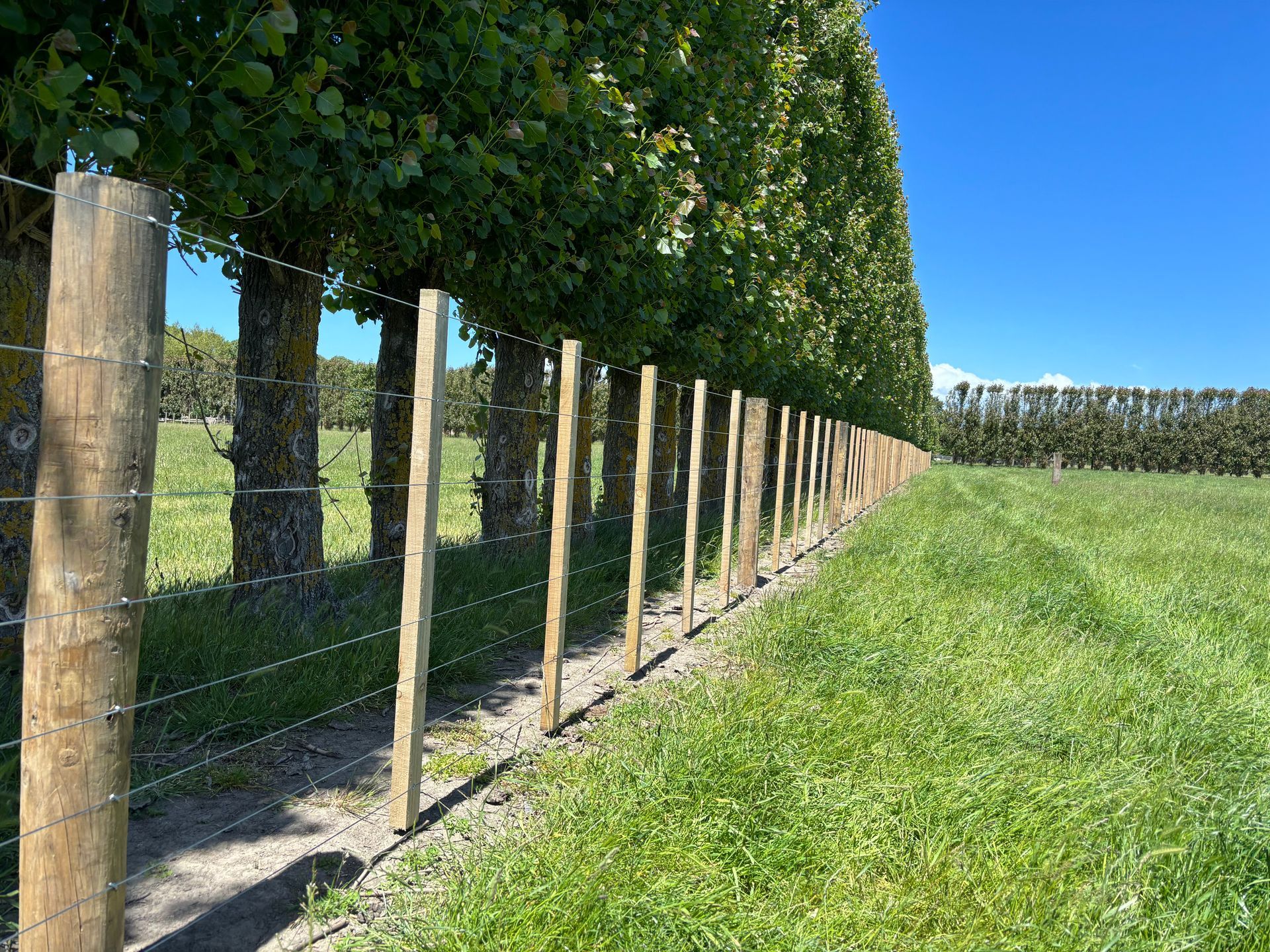 Batten fence