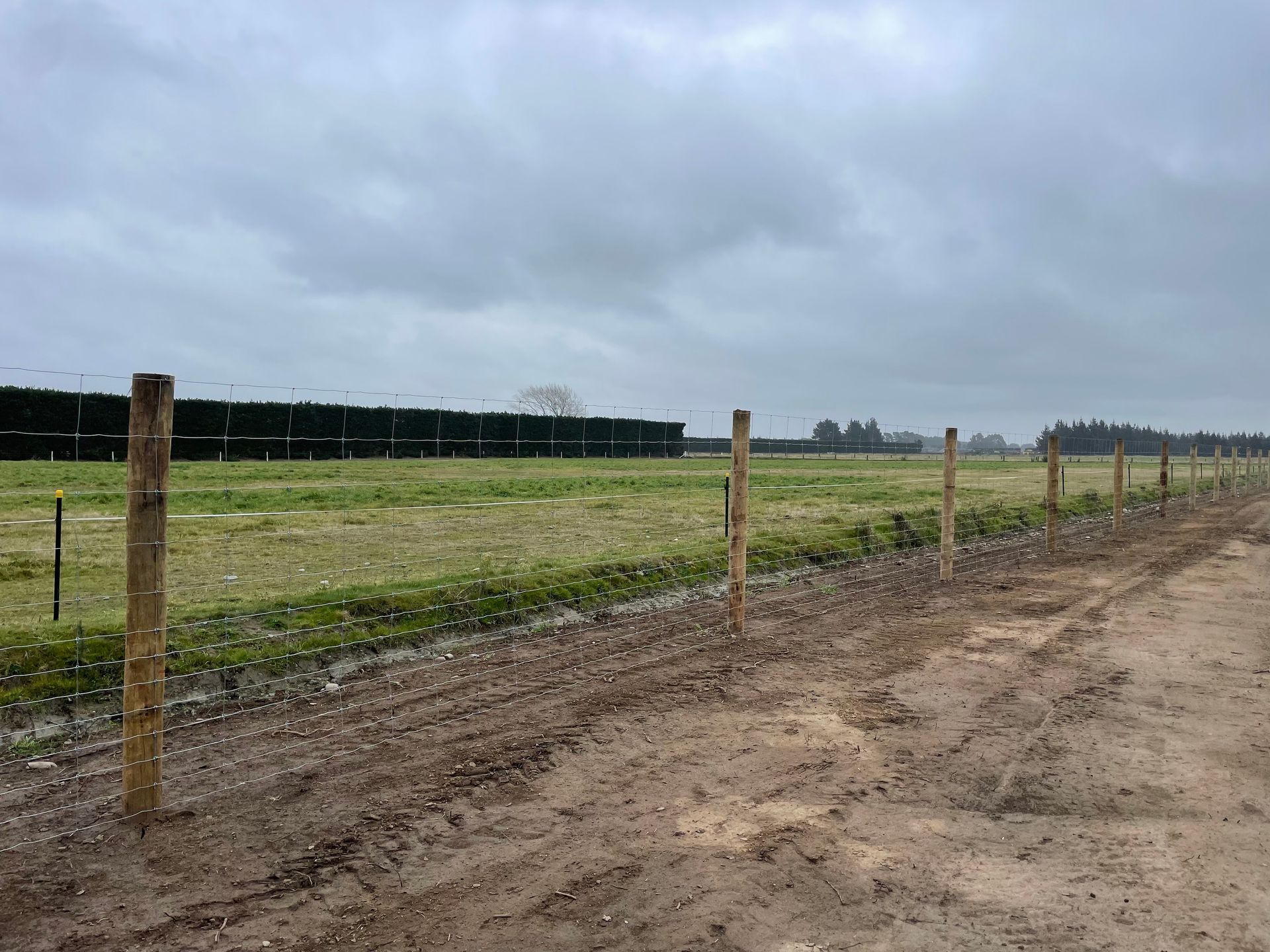 Deer fencing