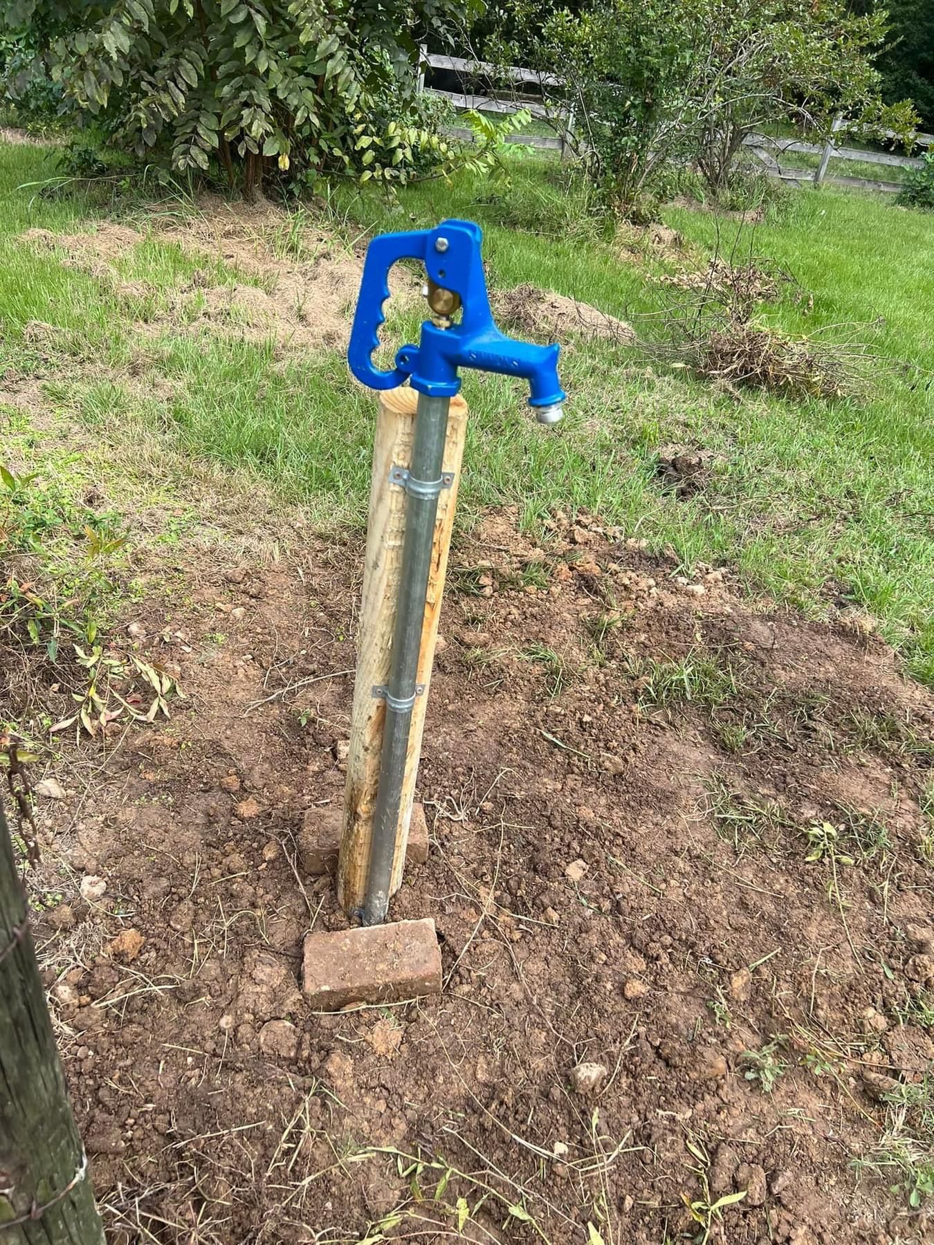Blue hand pump on a metal post in a dirt clearing with grass around it
