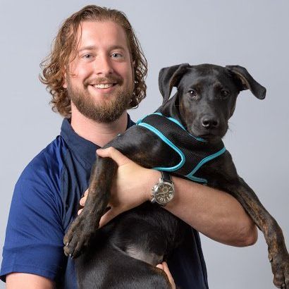 A man in a blue shirt is holding a black dog