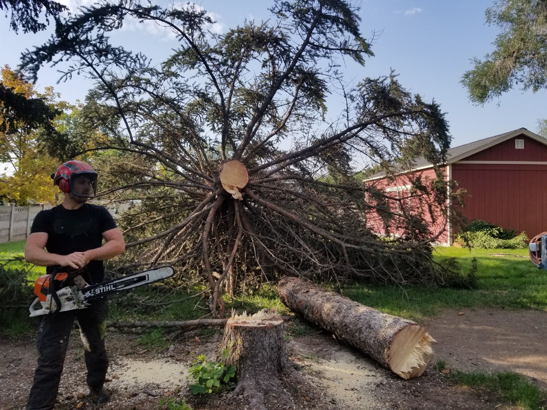 Residential Tree Removal
