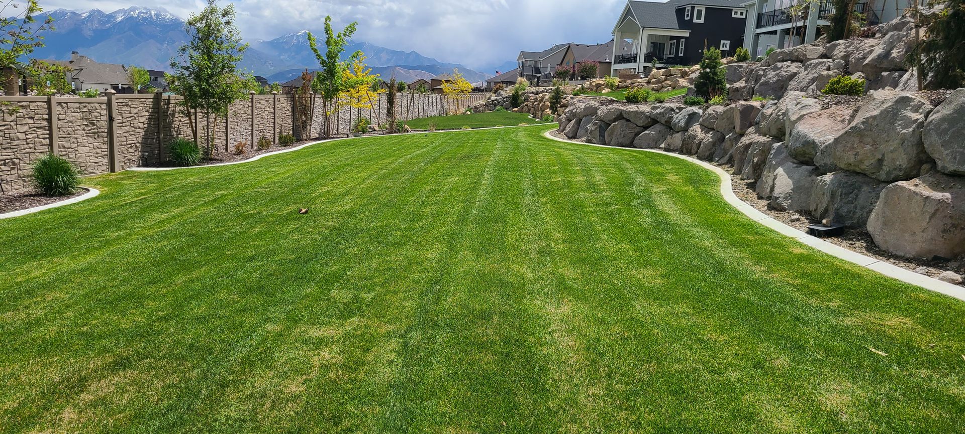 Large Lawn