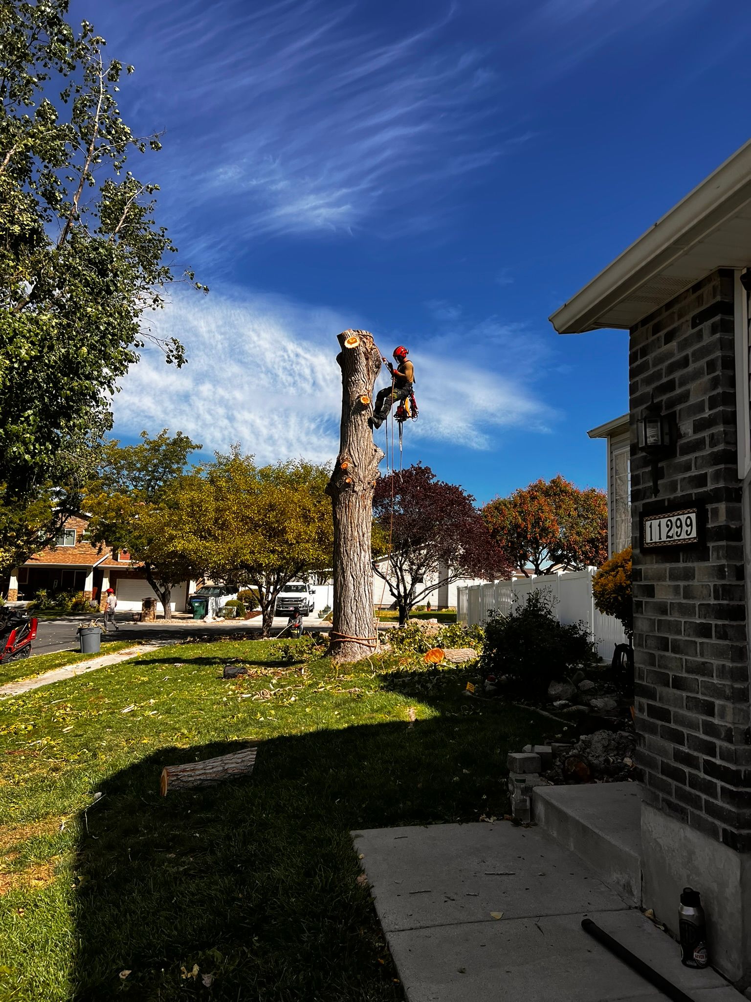 Two tree workers atop a partially cut tree, near a brick house and green lawn on a sunny day.
