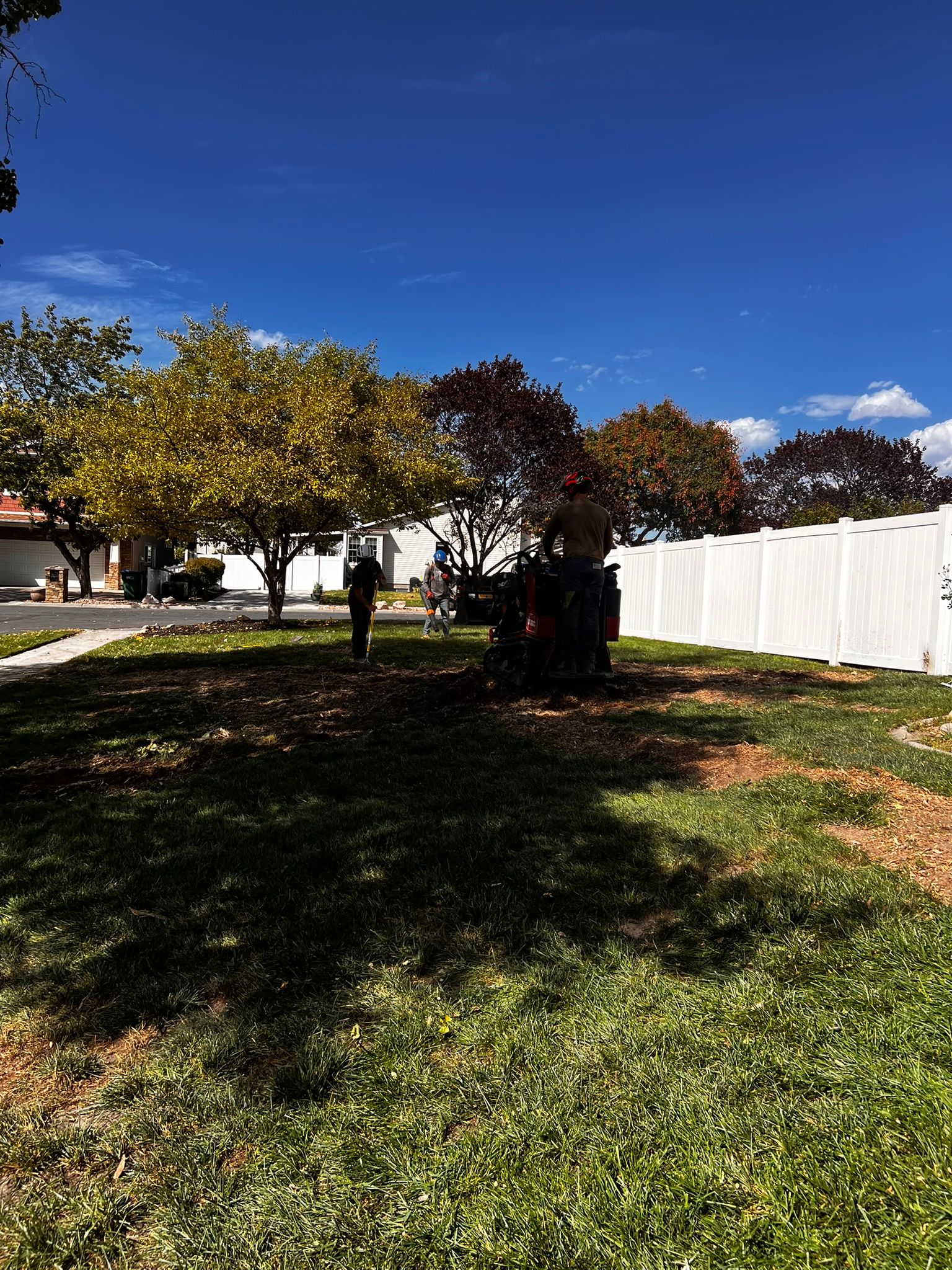 Bright sunny day with trees in yellow, red, and green, with a white fence and dark shadow in the foreground.