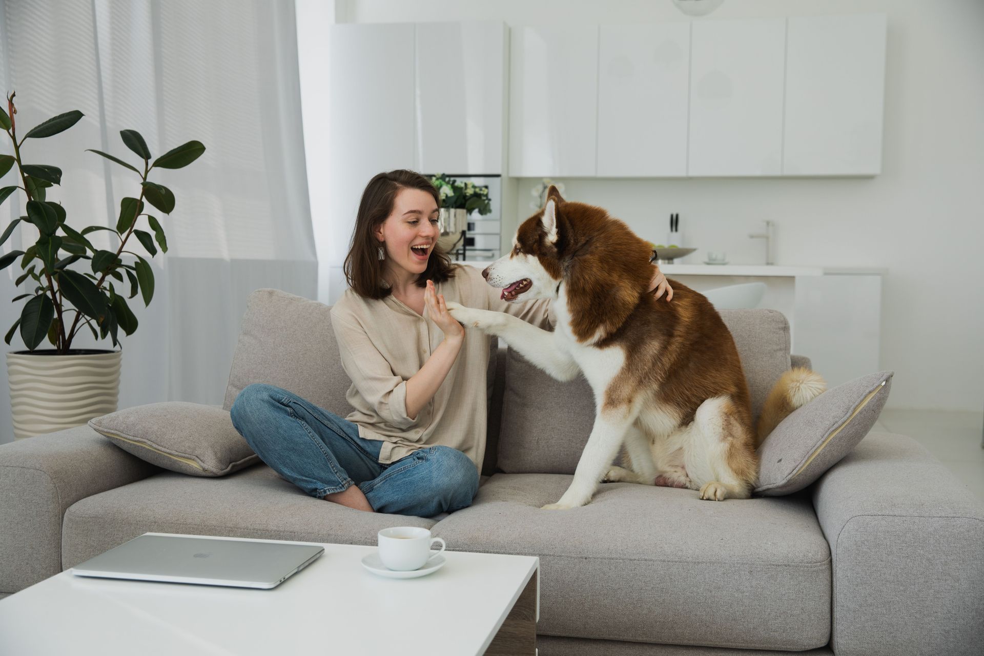 Woman and brown-and-white dog sitting on a gray couch in a bright living room, facing each other playfully.