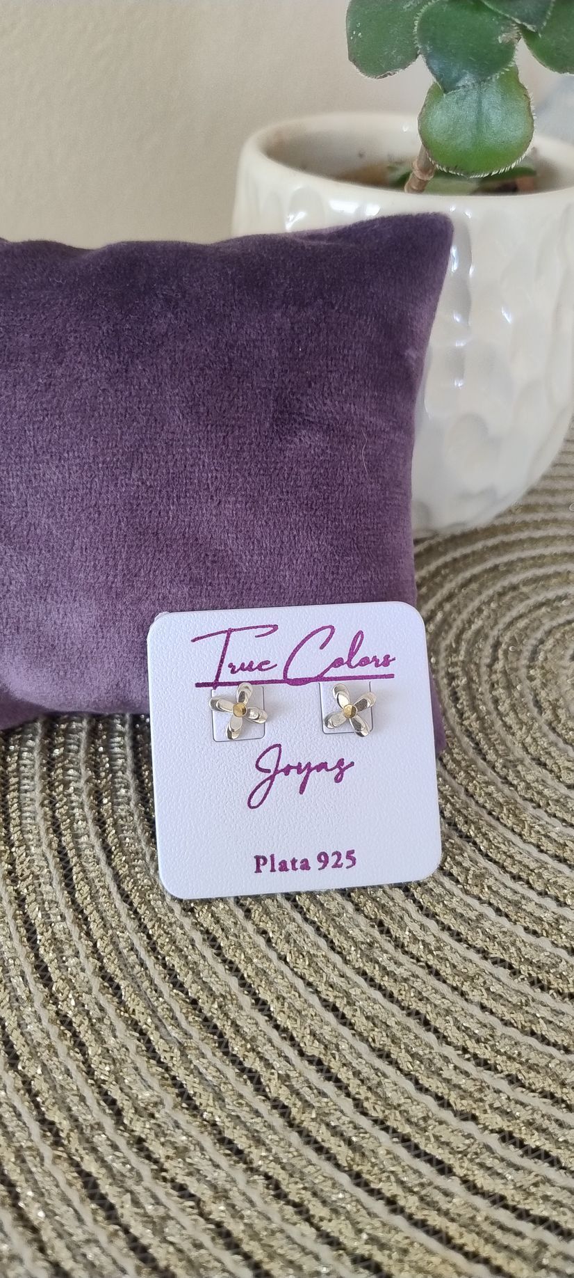 Pendientes sobre una tarjeta de presentación, apoyados contra un cojín morado, con una planta de fondo.