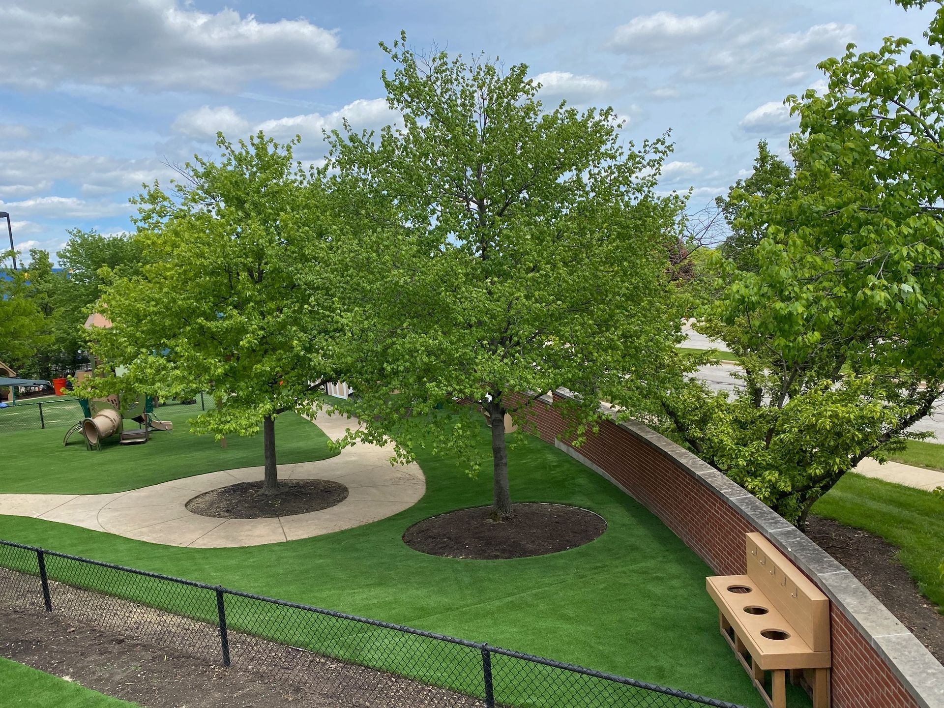 A park with two trees in the center of a grassy lawn, separated by a winding path, beside a brick wall and wooden bench.