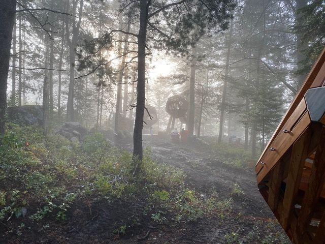 Foggy forest scene. Sun peeks through trees. Wooden structure in the right corner.