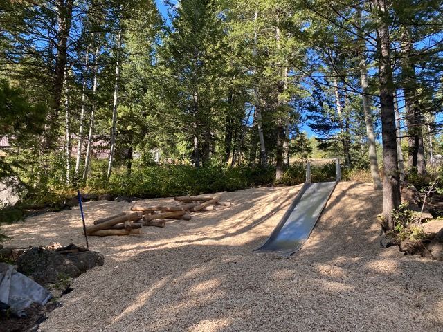 Playground with a metal slide, logs, and wood chips in a wooded area.