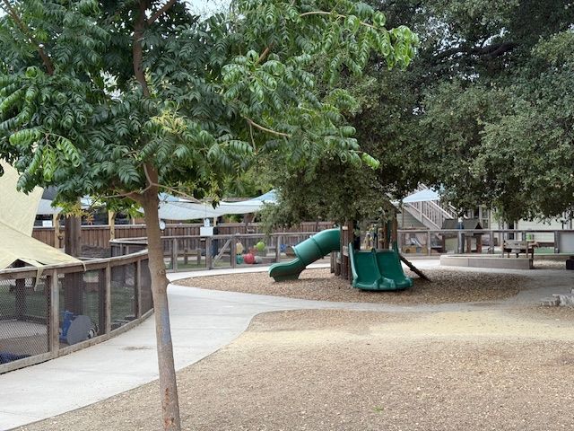 Playground with green slide, trees, and tan ground.