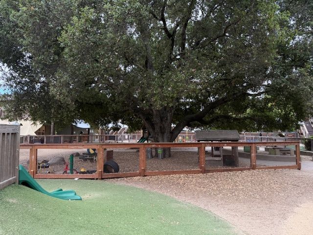 A playground with a large tree, fence, and green slide. Brown wood fence surrounds gravel area.