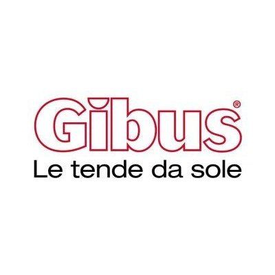 Gibus