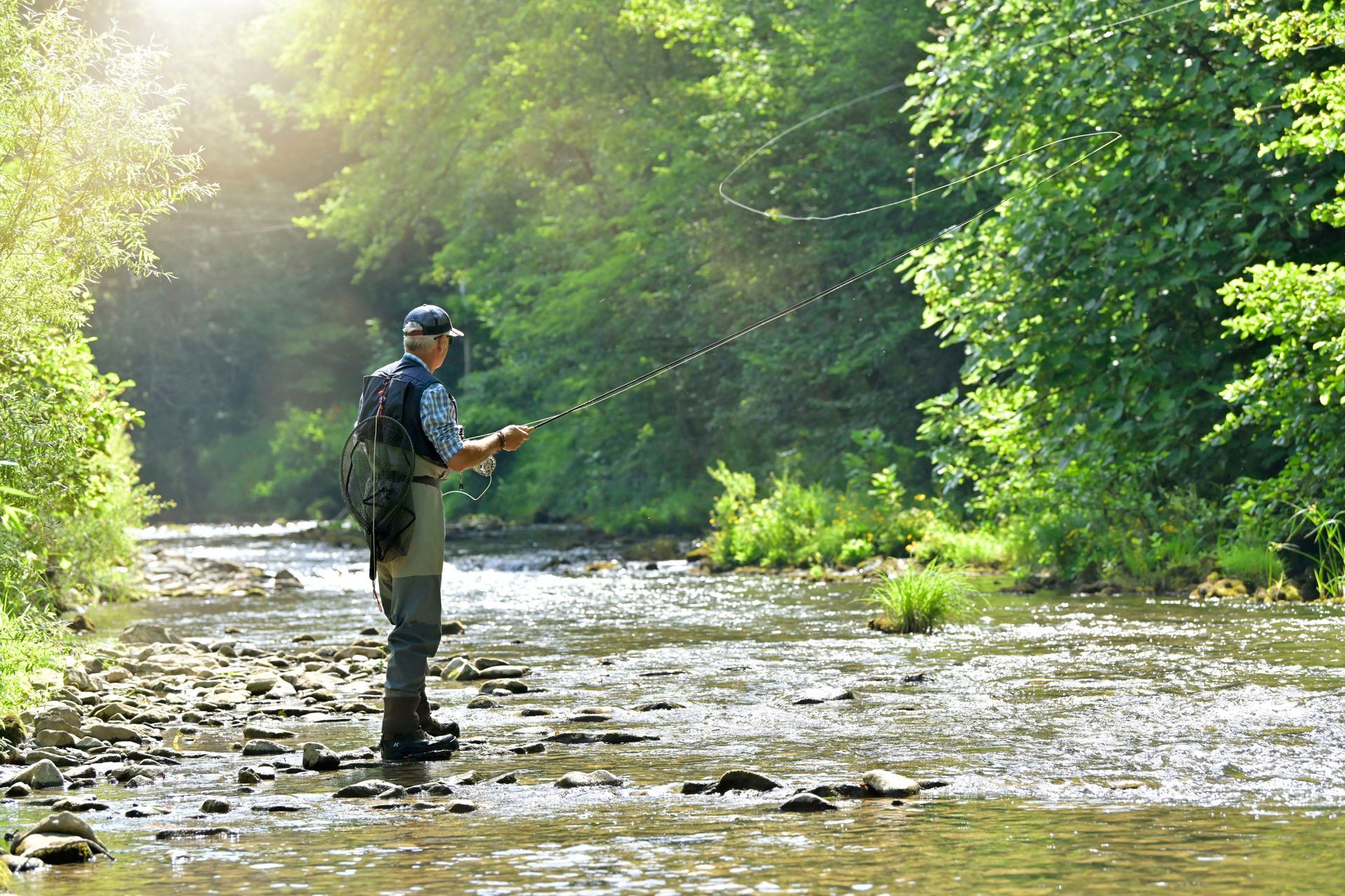 Man fly-fishing in a clear, rocky stream surrounded by green trees on a sunny day.