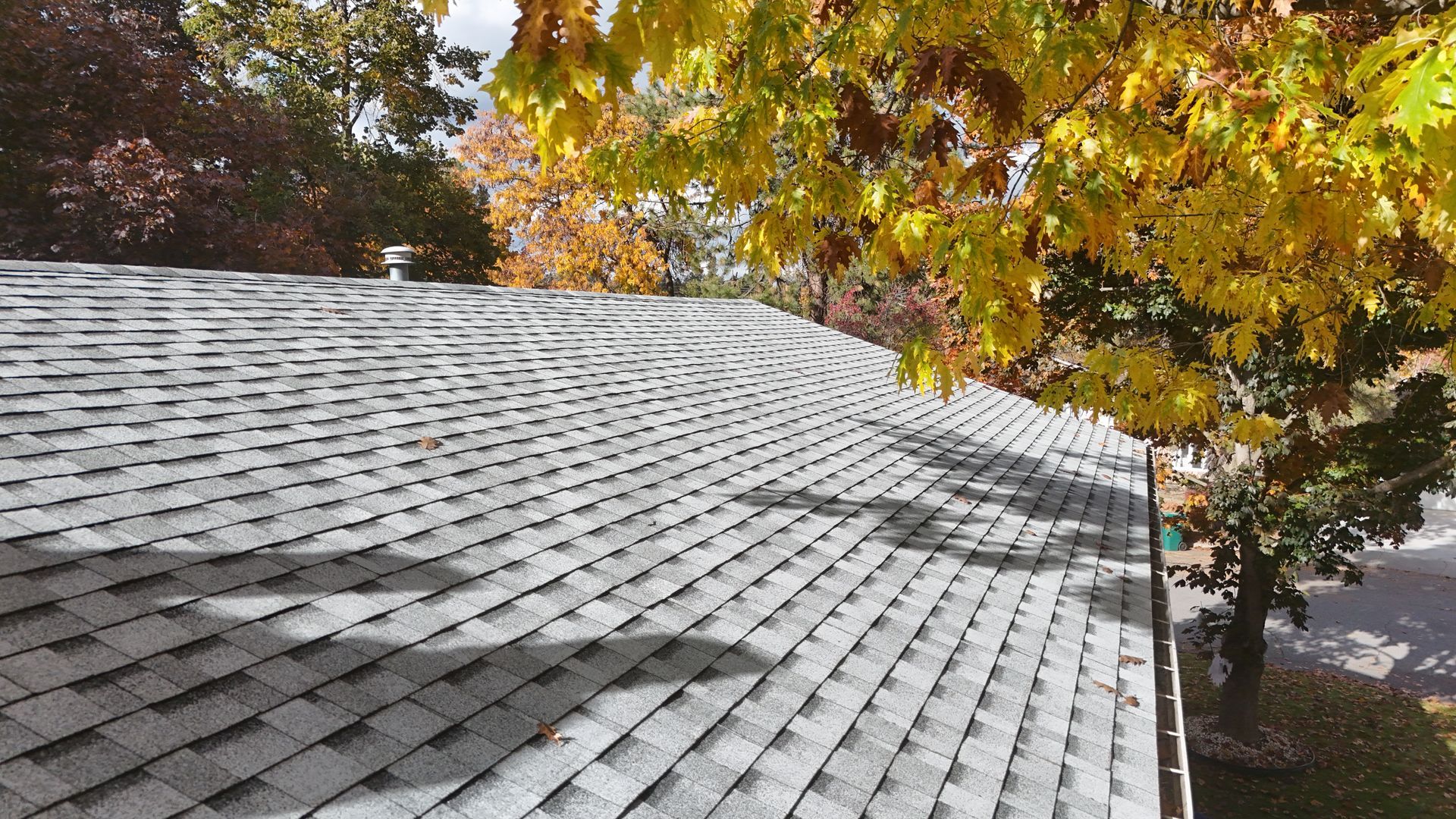 Gray shingled roof beneath autumn trees with yellow and orange leaves