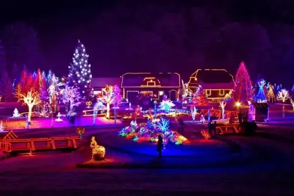A display of Christmas lights.