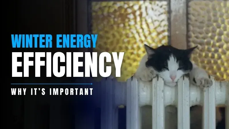 ME ELECTRICAL CAT SLEEPING ON A RADIATOR