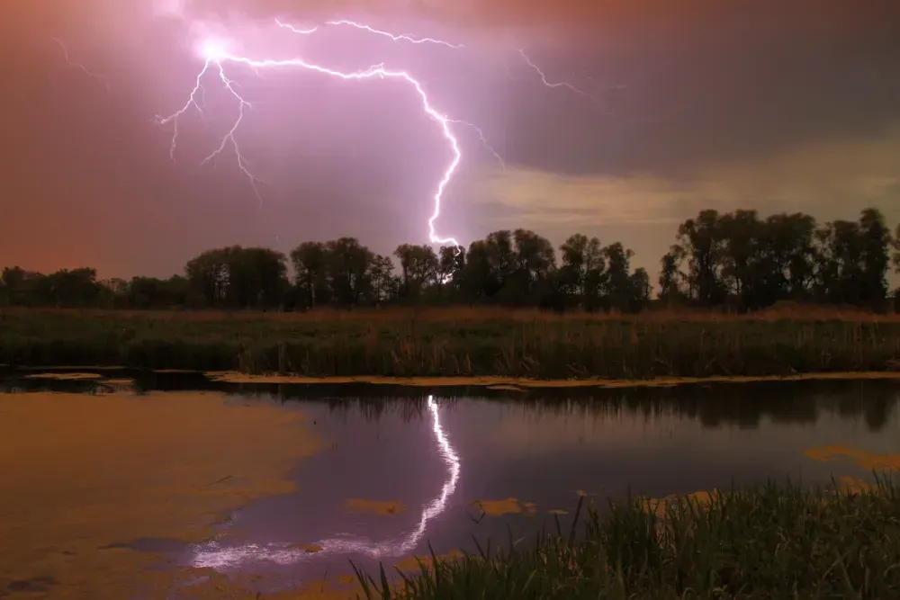A lightning strike over a body of water with trees in the background.