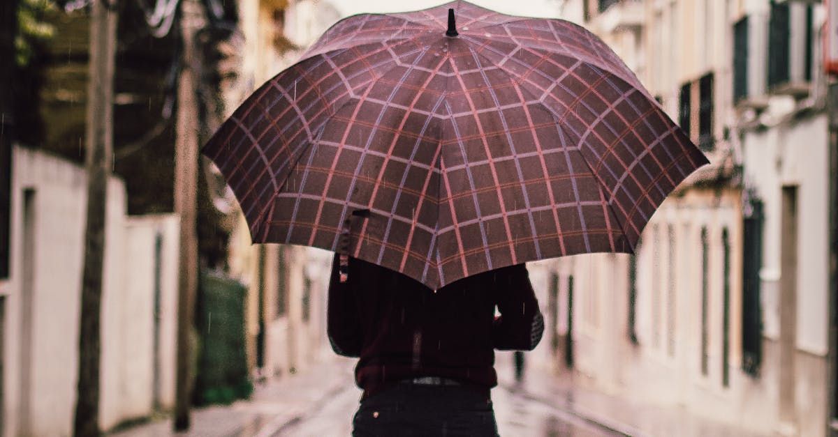 A person is holding an umbrella while walking down a street.