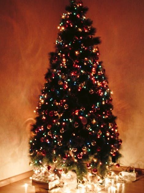 A christmas tree is lit up in a dark room